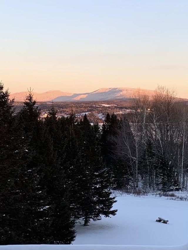 view of mountain feature