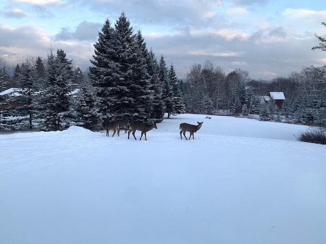 view of yard layered in snow