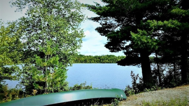 LOT19 Dickey Moore Rd, Medway, ME 04460