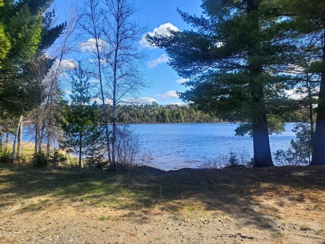 LOT19 Dickey Moore Rd, Medway, ME 04460