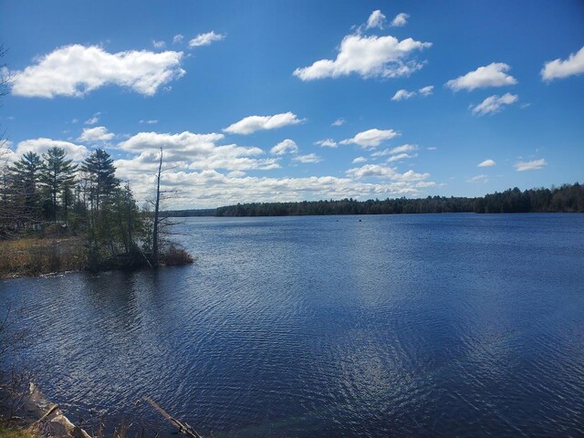 LOT19 Dickey Moore Rd, Medway, ME 04460