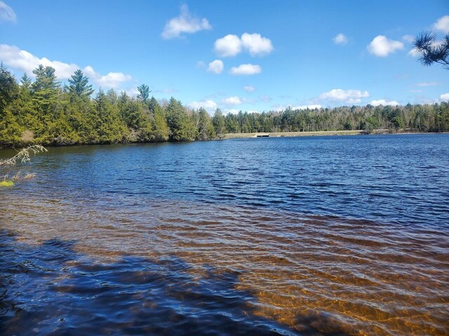 LOT19 Dickey Moore Rd, Medway, ME 04460