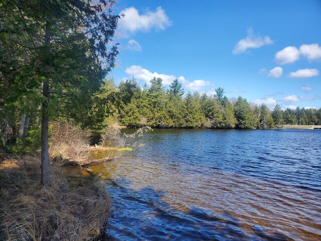 LOT19 Dickey Moore Rd, Medway, ME 04460