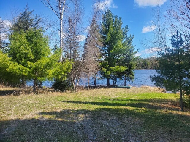 LOT19 Dickey Moore Rd, Medway, ME 04460