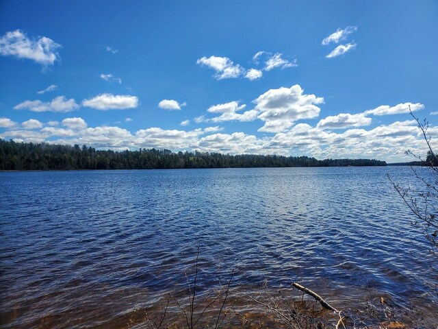 LOT19 Dickey Moore Rd, Medway, ME 04460