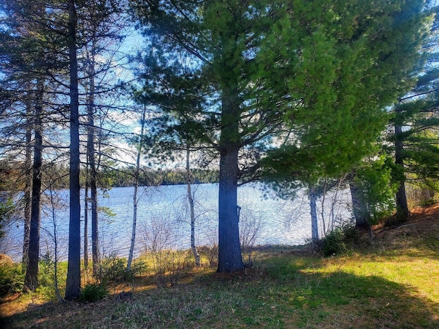LOT19 Dickey Moore Rd, Medway, ME 04460