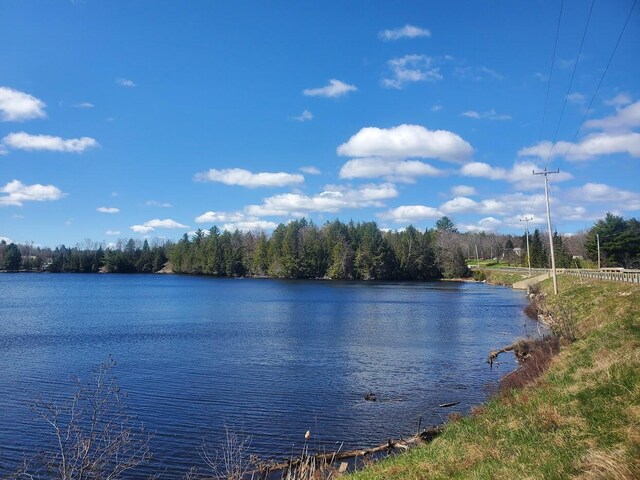 LOT19 Dickey Moore Rd, Medway, ME 04460