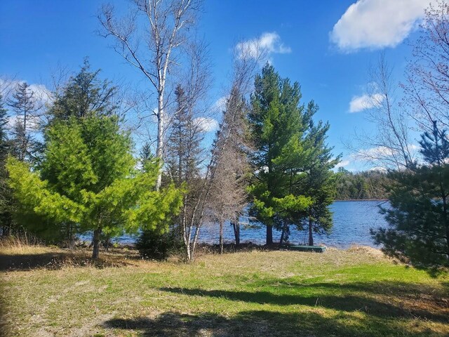 LOT19 Dickey Moore Rd, Medway, ME 04460