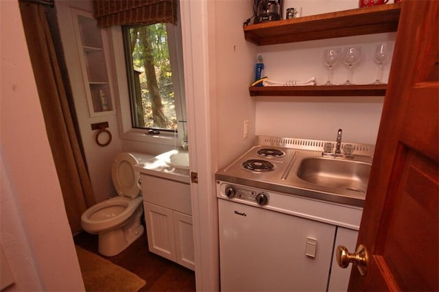 kitchen with sink, white cabinets, and dark hardwood / wood-style flooring