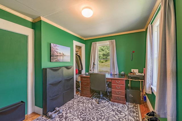 office area with crown molding and light hardwood / wood-style floors