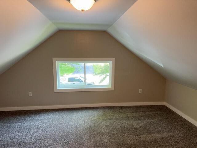 additional living space featuring lofted ceiling and carpet