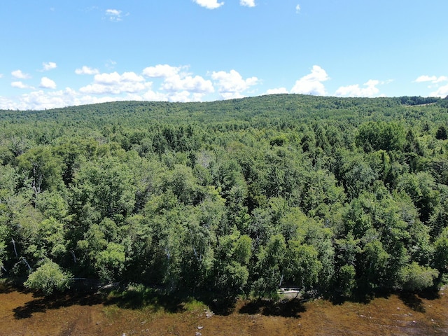 LOT2 Woodland Ridge Rd, Danforth ME, 04424 land for sale