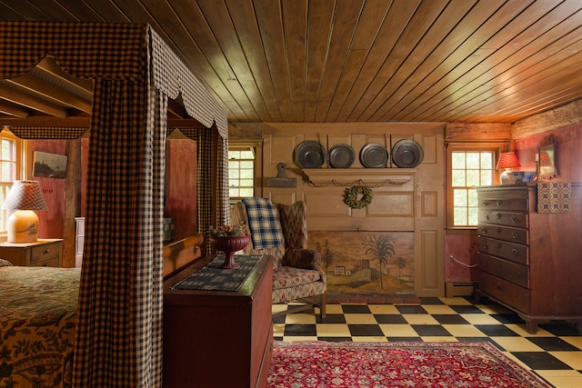 living area featuring wood walls, a healthy amount of sunlight, and wood ceiling