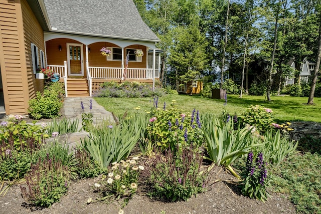 view of front facade with covered porch and a front lawn