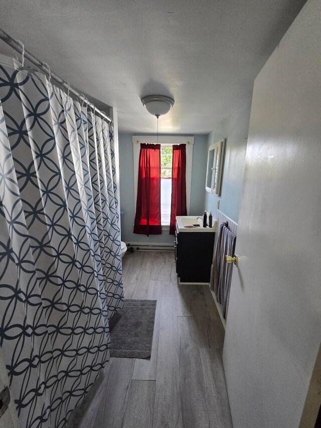 bathroom with a shower with curtain, vanity, and wood-type flooring