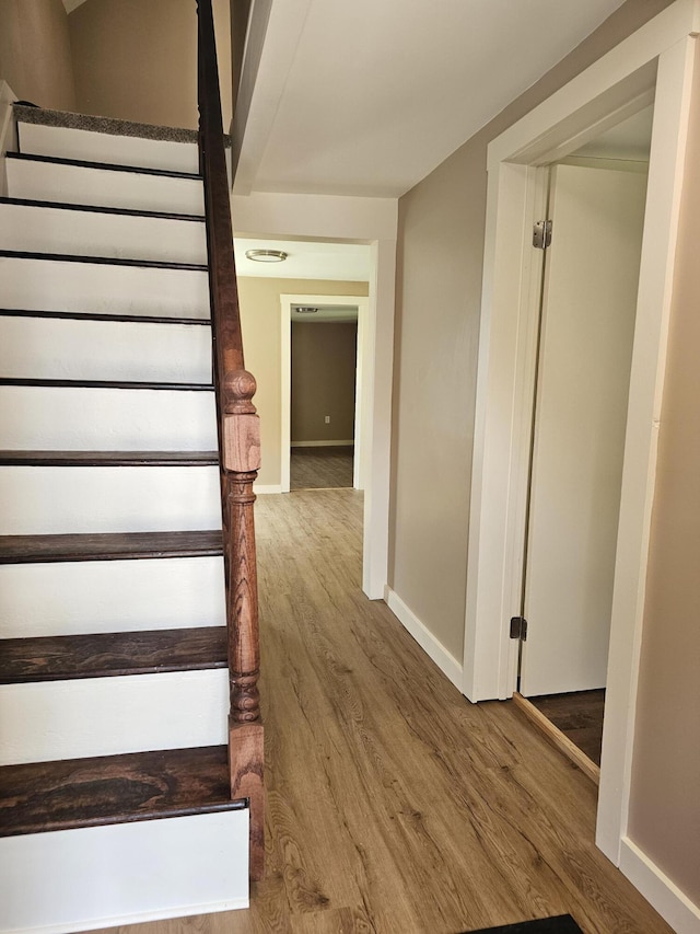 stairs with hardwood / wood-style floors