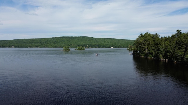 view of water feature