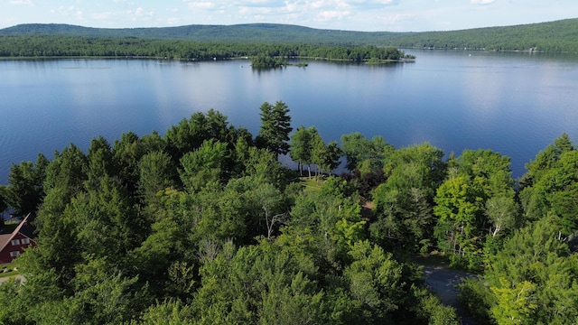 birds eye view of property featuring a water and mountain view