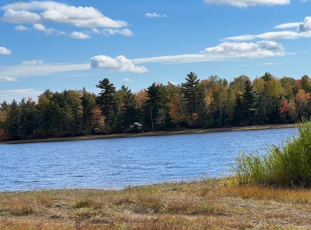 M4, L6 Hardwood Hill Is, Mariaville, ME 04605