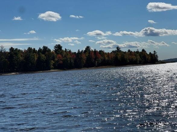 M4, L6 Hardwood Hill Is, Mariaville, ME 04605