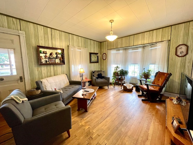 living room featuring wooden walls and light hardwood / wood-style flooring