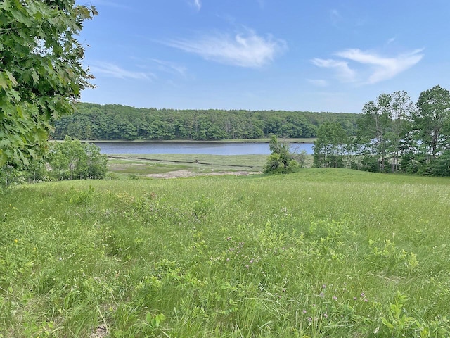 property view of water