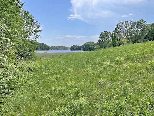 view of local wilderness with a water view