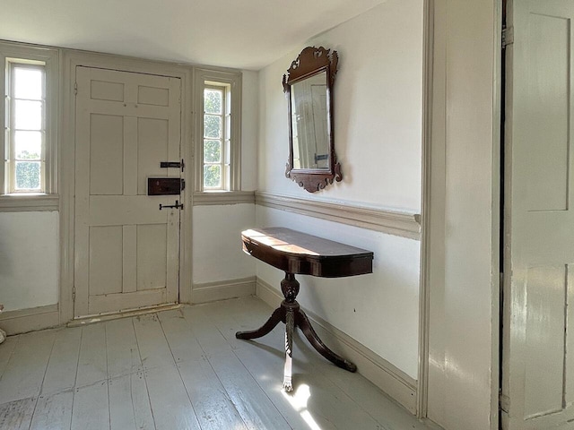 foyer entrance featuring light hardwood / wood-style flooring and a wealth of natural light