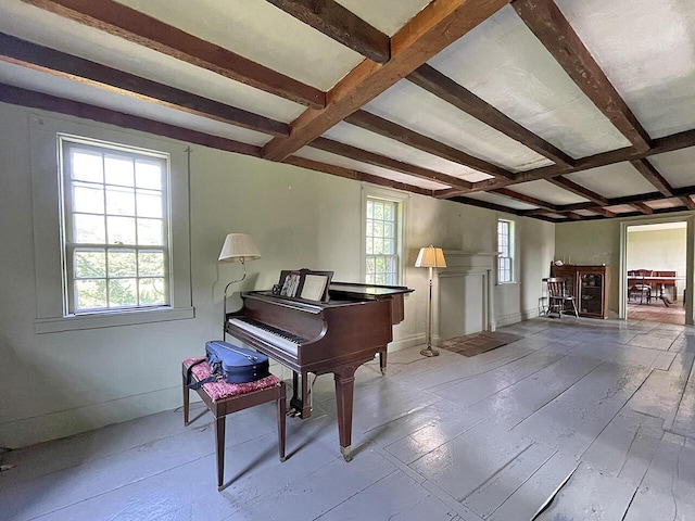 miscellaneous room featuring beamed ceiling, plenty of natural light, and light hardwood / wood-style flooring