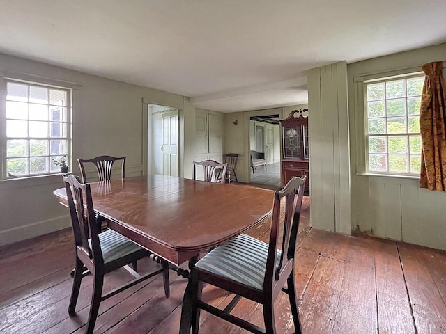 dining room with hardwood / wood-style floors