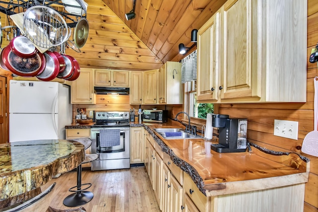 kitchen with sink, exhaust hood, light brown cabinets, electric range, and white refrigerator