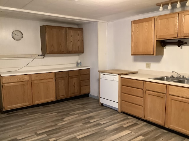 kitchen with dishwasher, sink, and dark hardwood / wood-style flooring