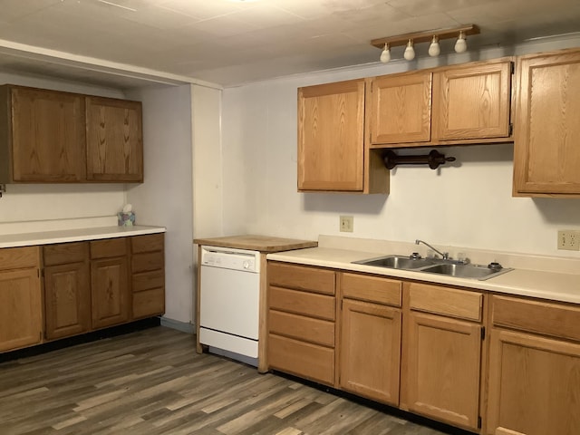 kitchen with white dishwasher, sink, rail lighting, and dark wood-type flooring