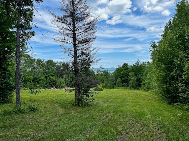 view of landscape