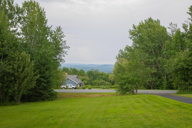 view of community with a yard