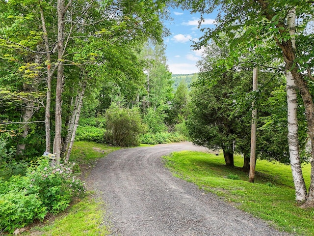 1972 Main St, Rangeley, ME 04970 - photo 49