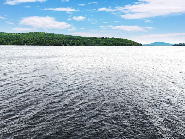 property view of water featuring a mountain view