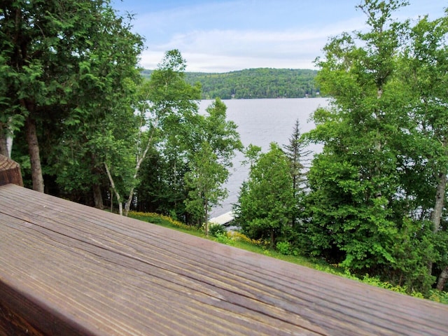 view of water feature