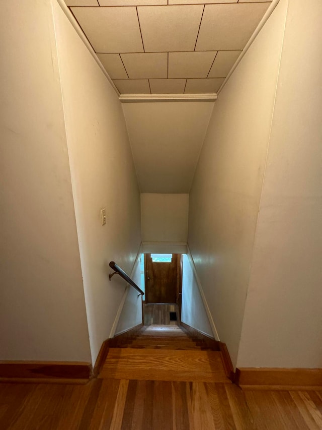 stairs with wood-type flooring