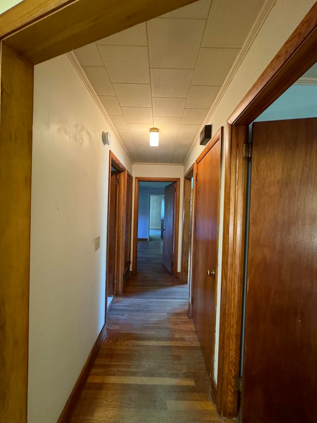 hall featuring ornamental molding and dark hardwood / wood-style floors