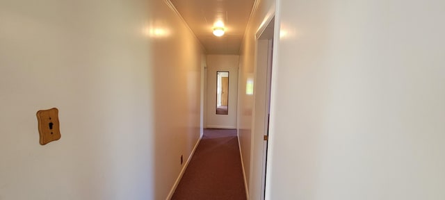 hallway with crown molding and dark carpet