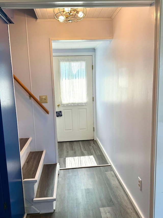 doorway to outside featuring ornamental molding and dark hardwood / wood-style flooring