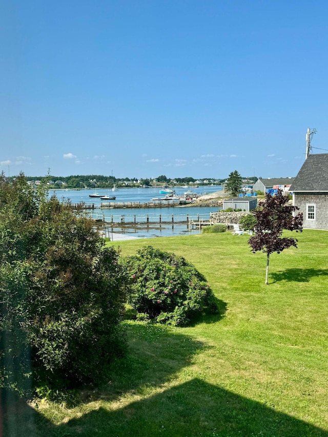 view of yard with a water view and a boat dock