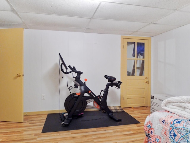 exercise area with hardwood / wood-style floors and a paneled ceiling