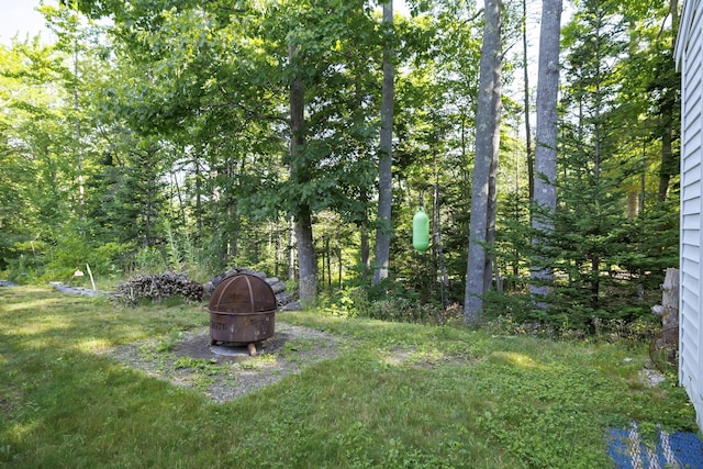 view of yard with an outdoor fire pit