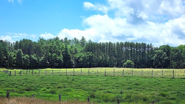 view of yard with a rural view