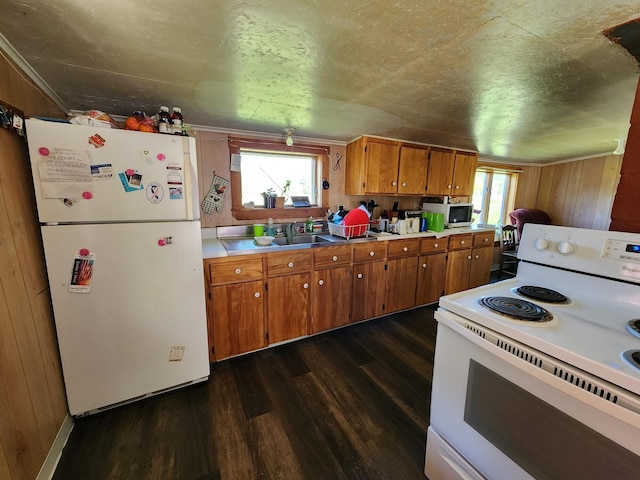 kitchen featuring wood walls, sink, dark wood-type flooring, and white appliances