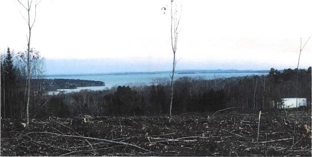 000 Merriam Rd, Belfast, ME 04915 - photo 2
