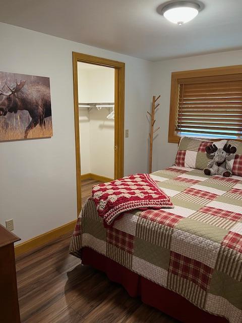 bedroom featuring baseboards, wood finished floors, a spacious closet, and a closet