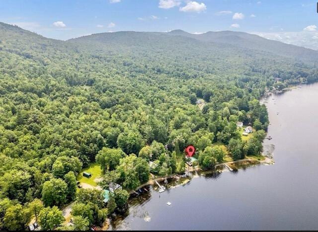 drone / aerial view featuring a water and mountain view and a view of trees